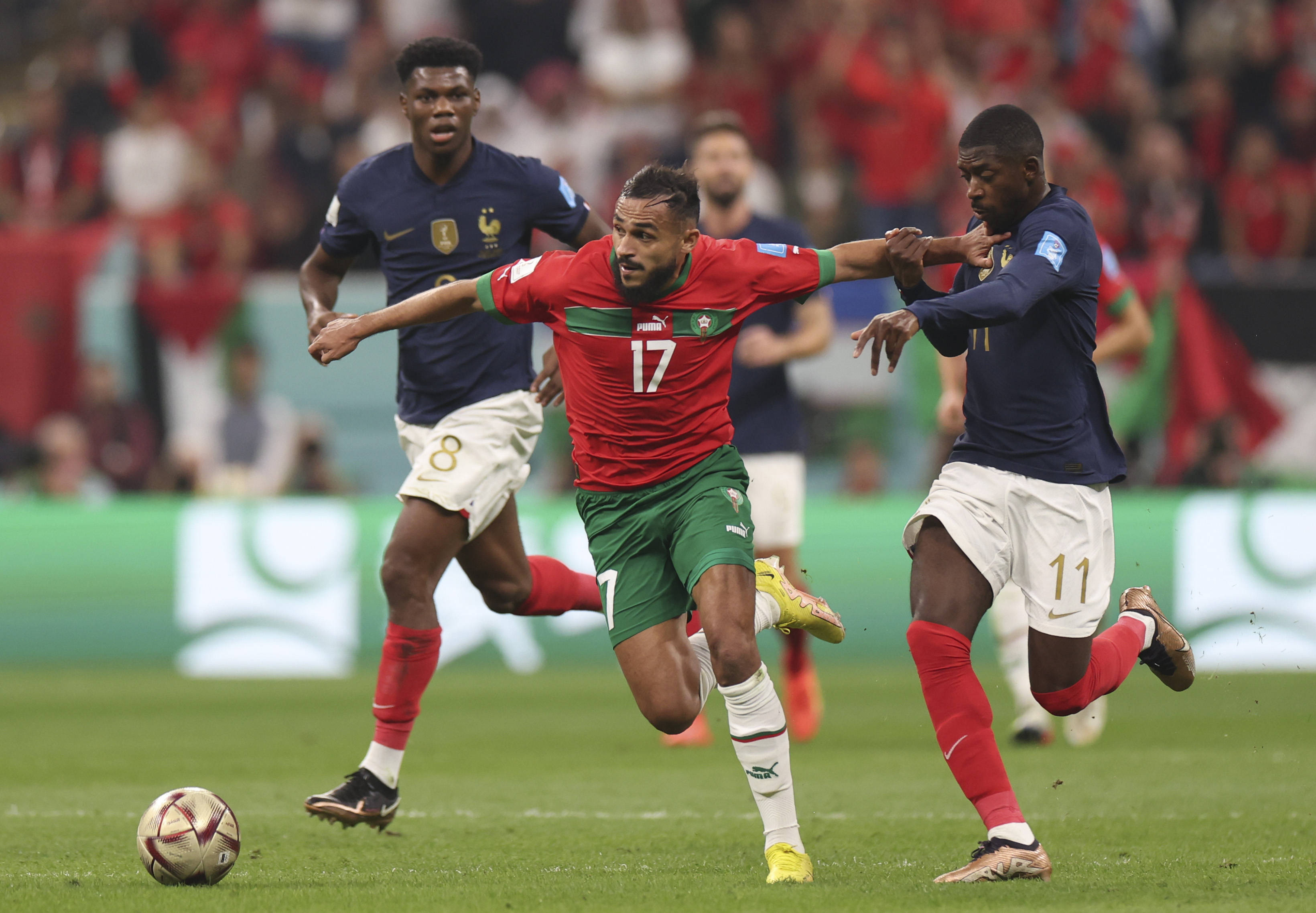 们不仅记住 们不仅记住