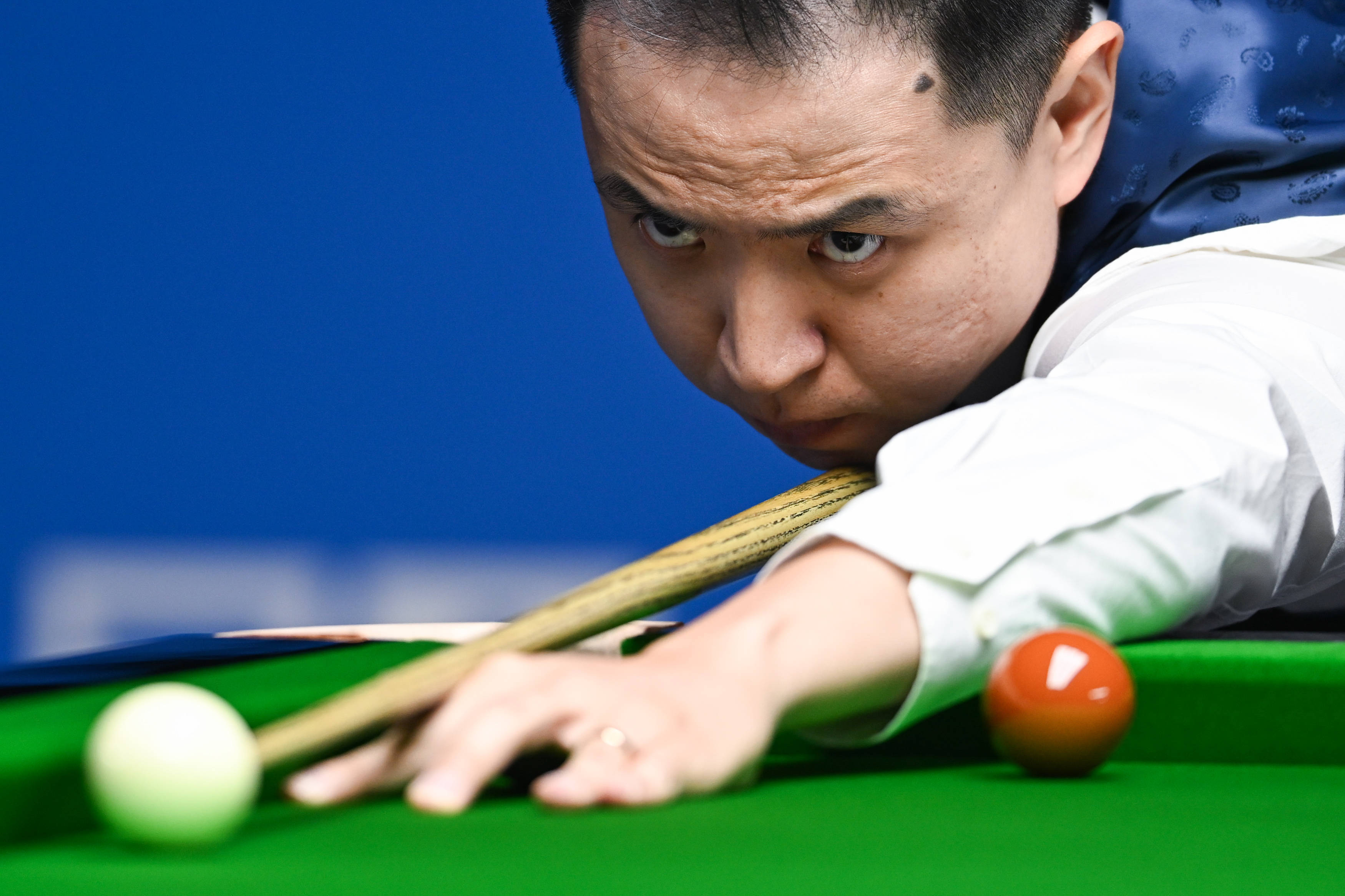 了坚实的后 了坚实的后